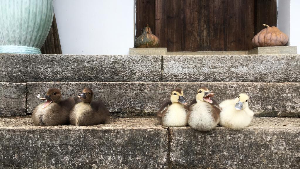 ホテル ゼン ボックス ハウス 陽朔 エクステリア 写真