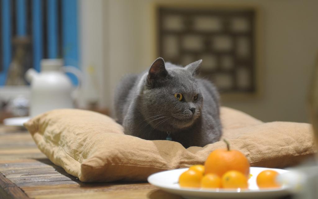 ホテル ゼン ボックス ハウス 陽朔 エクステリア 写真